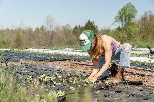 Peut-on organiser un séjour dans une ferme bio en Toscane avec des ateliers de cuisine végétarienne?