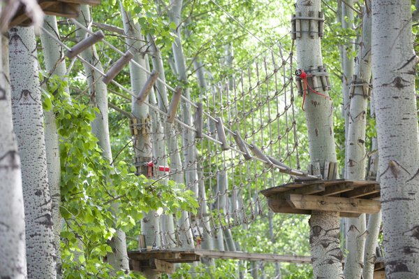 Parc accrobranche entre Barcelonnette et Le Lauzet : choisissez bien votre parcours